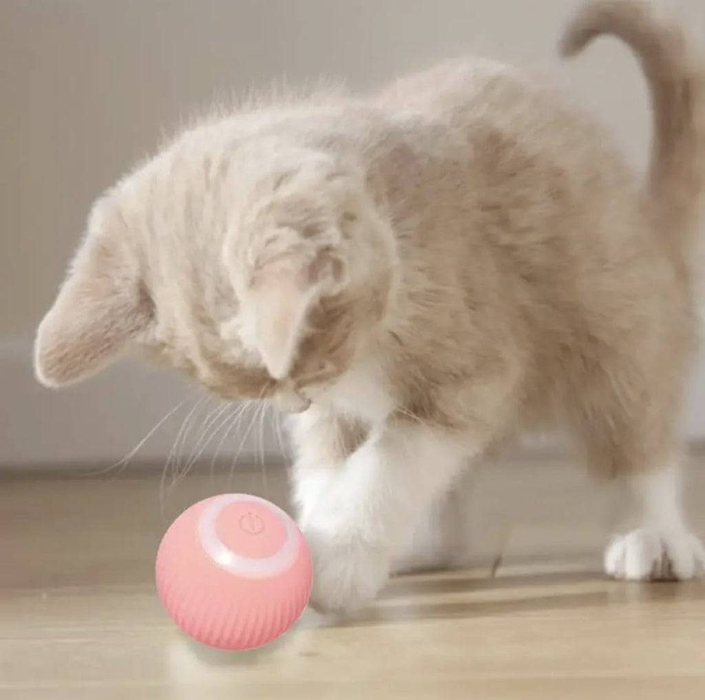 Dos pelotas interactivas para tu mascota