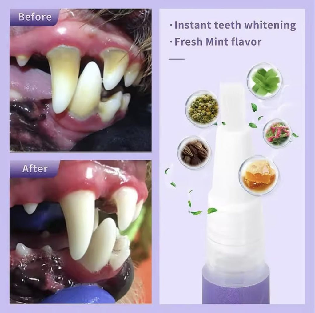 3 pzas Gel Removedor de Manchas y Limpieza de Dientes Para Mascota