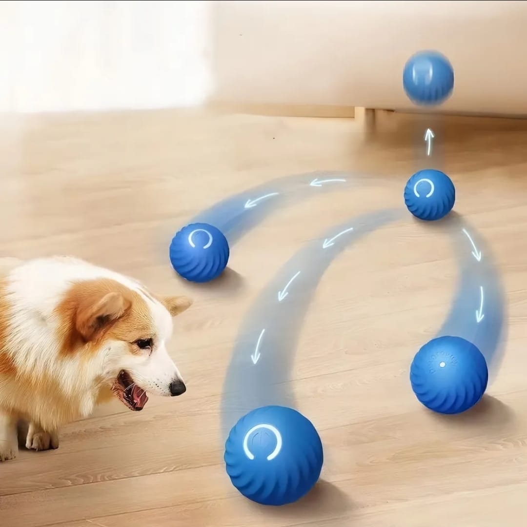 Pelotas Interactiva para tu Mascota