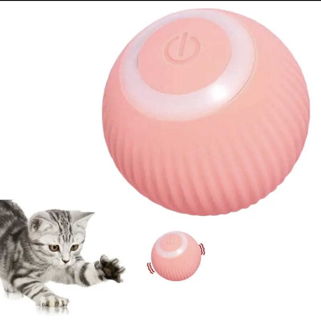 Dos pelotas interactivas para tu mascota