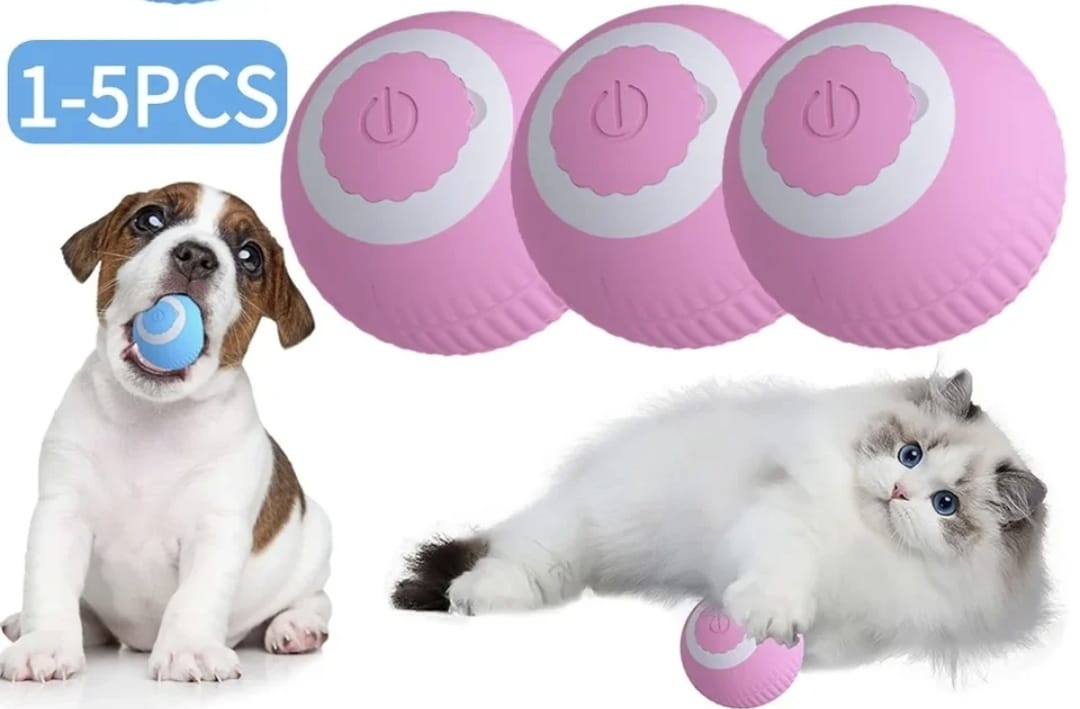 Dos pelotas interactivas para tu mascota